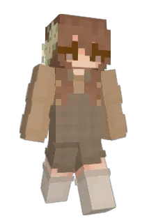 ayerszs Minecraft avatar full body