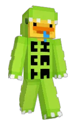 Minecraft skin — Classic model