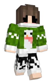 Skin preview