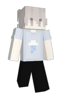 Front of Ninja's skin