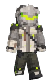 Skin preview