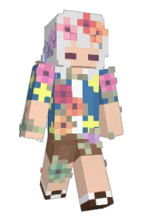 b00u Minecraft avatar full body