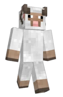 Front of Zaponex's skin