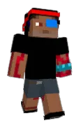 Elec_fox