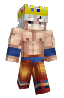 Front of DingDongBacon's skin