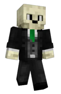 Front of Strylic's skin