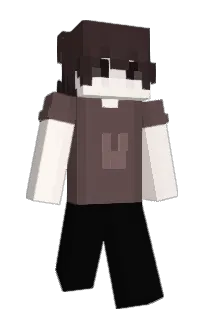 Front of tbox's skin