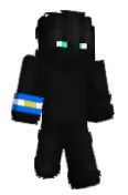 Verzss