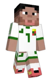 Skin preview
