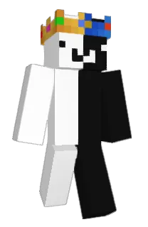 Front of AminMatrix's skin
