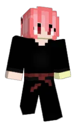 Minecraft skin — Classic model