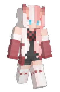 Front of Minecraft skin