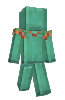 Front of Barrierreally's skin