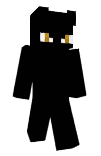 Front of wst's skin