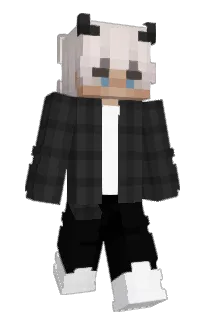 Front of Minecraft skin