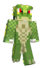 Skin preview