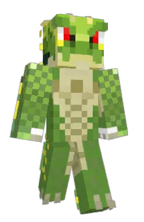 Front of CIim's skin