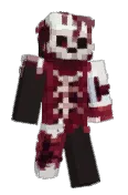 CosaNinja2