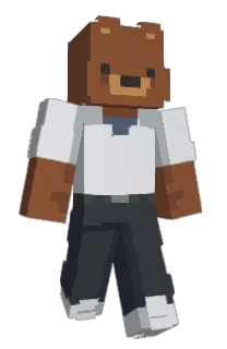 reisdrop's Minecraft skin