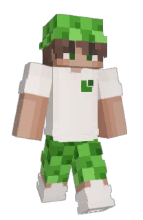 Front of Ananas204's skin