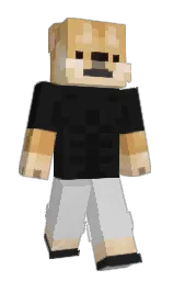 Slim Minecraft skin