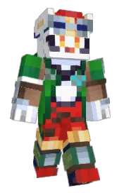 Skin preview