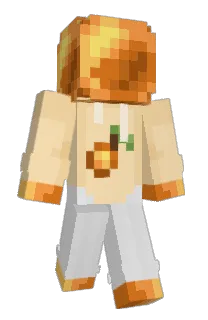 Front of Minecraft skin