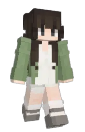 Skin preview