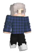 nxflexx