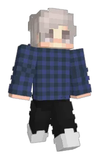 nxflexx's Minecraft skin