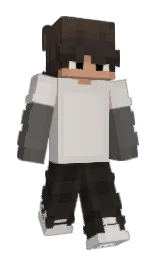 swirl and timberwolf Minecraft skin — Classic model — first worn by OwczyGod