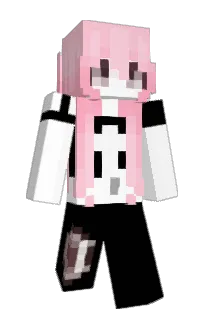 Front of adwmire's skin