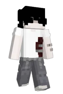 b0diez Minecraft avatar full body