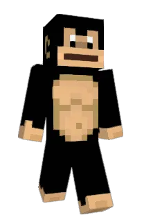 Front of 1svn's skin