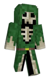 Skin preview