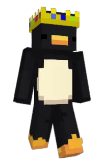 Front of kuningasPinqu's skin