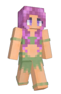 Front of Minecraft skin