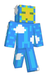 Front of Tame22's skin