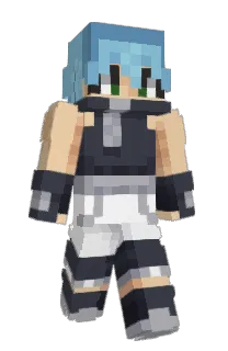 Front of foolishCollector's skin