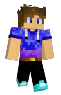 Nim429's Minecraft skin