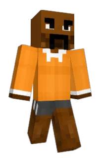 Front of V0V's skin