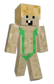 Skin preview