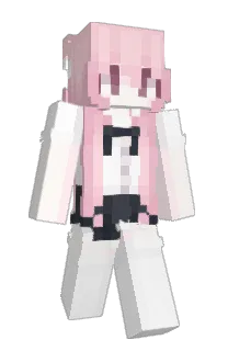 Front of Zentre's skin