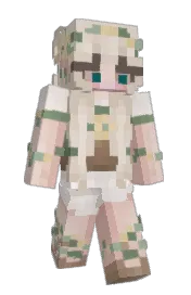 Skin preview