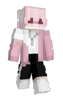 Front of Mextt's skin