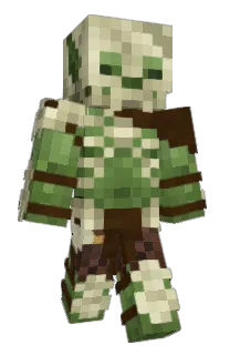 Front of PikinikBasket's skin