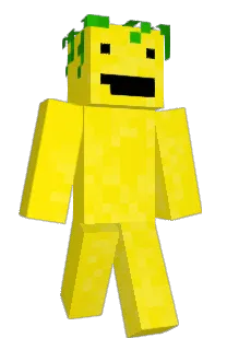 Front of Pineapple0920's skin
