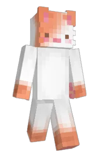Front of unitk's skin