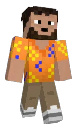 Minecraft skin — Classic model
