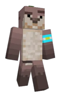 Front of Minecraft skin